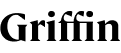 عميل 5